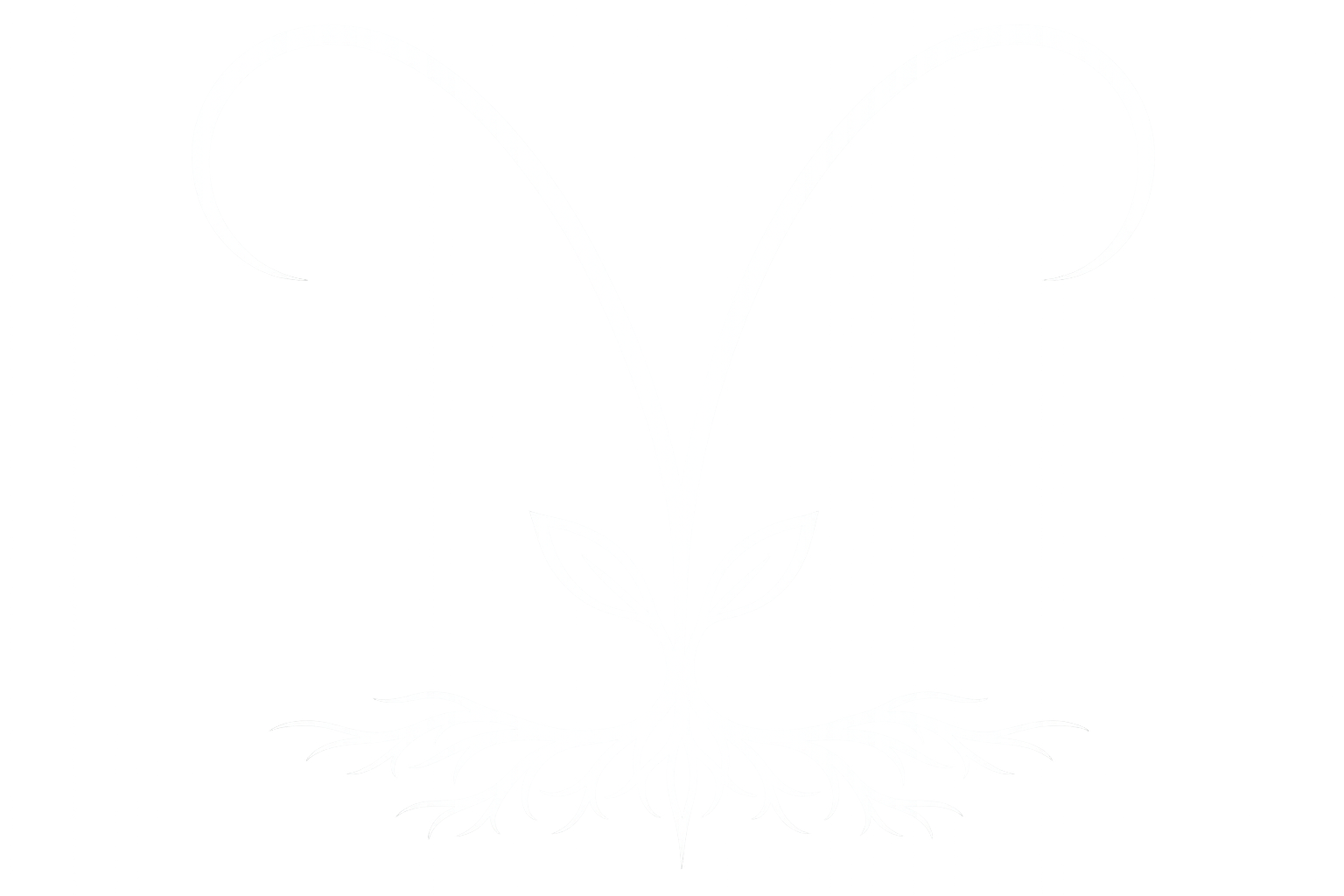 Aries Integration